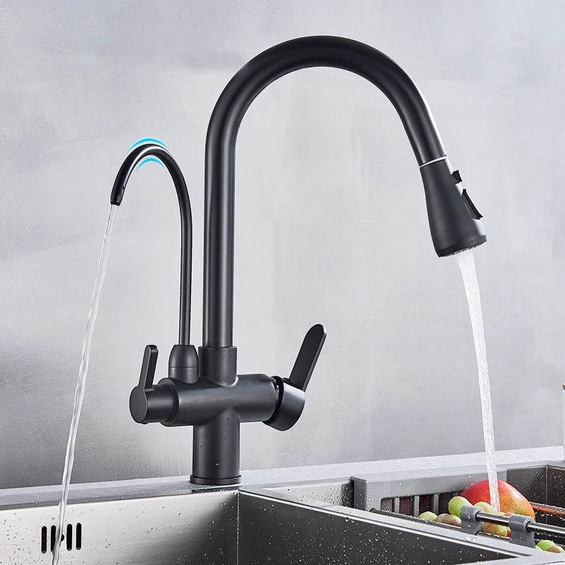 Elegant Black 360° Pull-Out Kitchen Faucet™